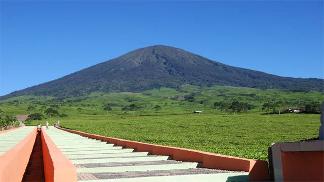 images (1)